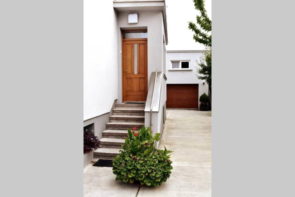 Modern Apartment In Tarnów Zewnętrze zdjęcie